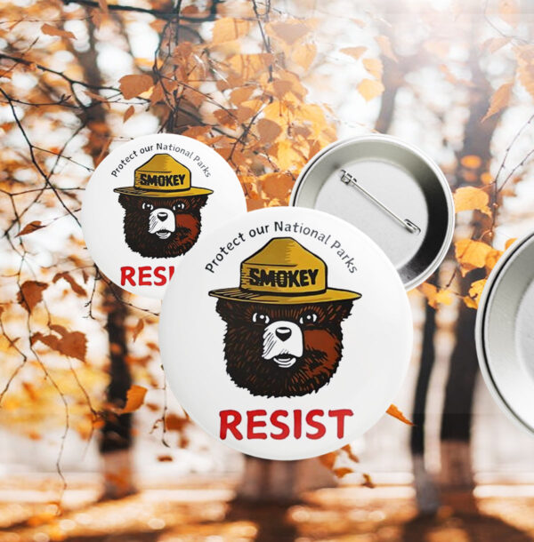 Protect our national parks bear Button