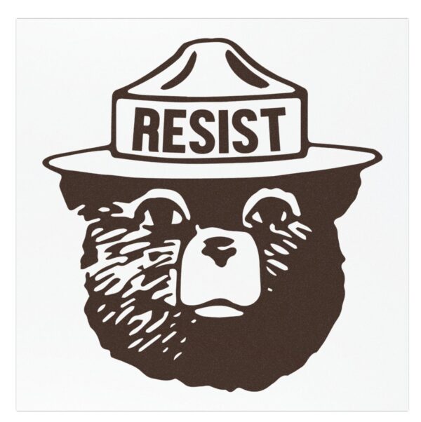 Resist Bear 2025 Car Magnets