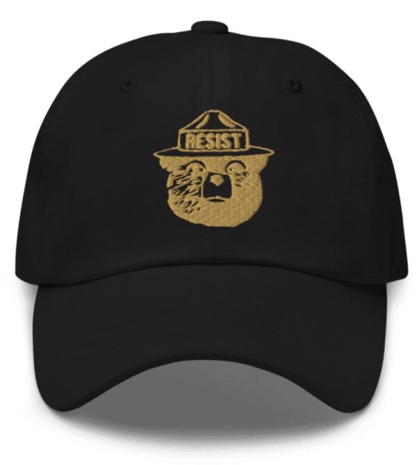 Resist Bear 2025 Hat