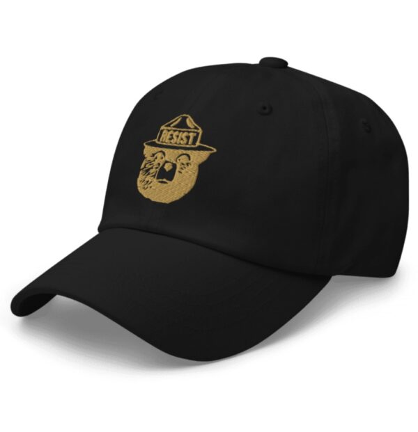 Resist Bear 2025 Hat