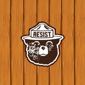 Resist Bear Die-Cut Sticker