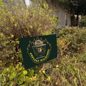 Smokey Bear Keep It Green Prevent Wildfires Bear Resist Yard Sign