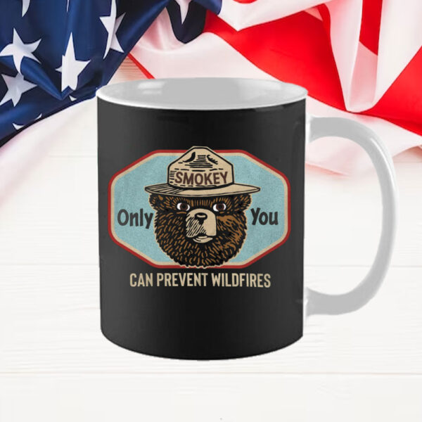 Smokey Bear Only You Can Prevent Wildfires Resist Bear Mug