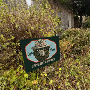 Smokey Bear Only You Can Prevent Wildfires Resist Bear Yard Sign