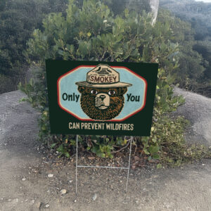 Smokey Bear Only You Can Prevent Wildfires Resist Bear Yard Sign