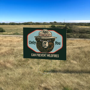 Smokey Bear Only You Can Prevent Wildfires Resist Bear Yard Sign