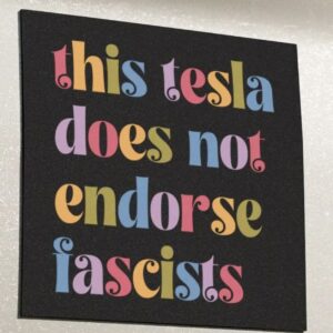 This Tesla Does Not Endorse Fascists Car Magnet