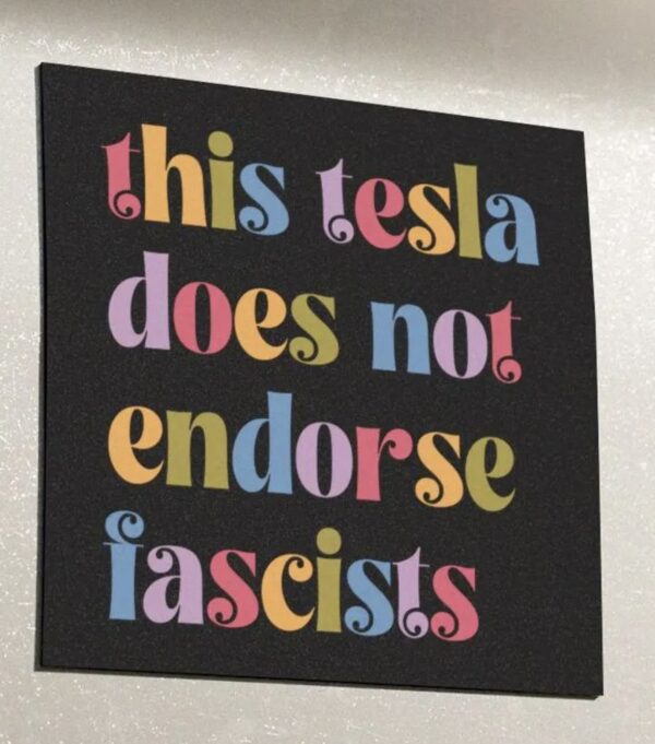 This Tesla Does Not Endorse Fascists Car Magnet